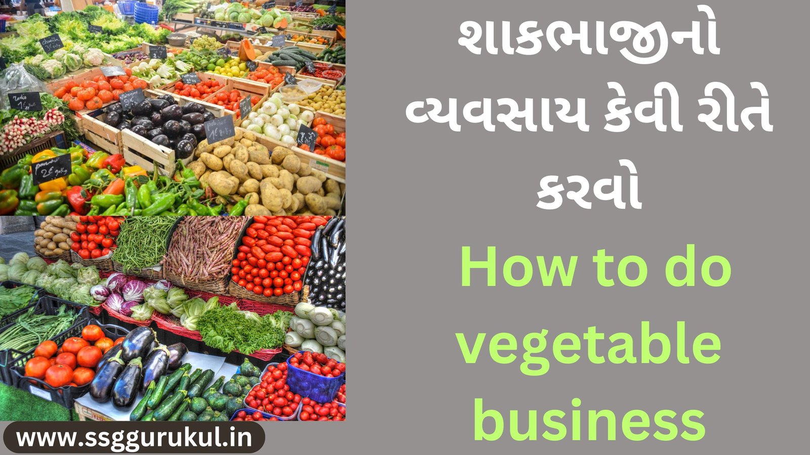 શાકભાજીનો વ્યવસાય કેવી રીતે કરવો How to do vegetable business